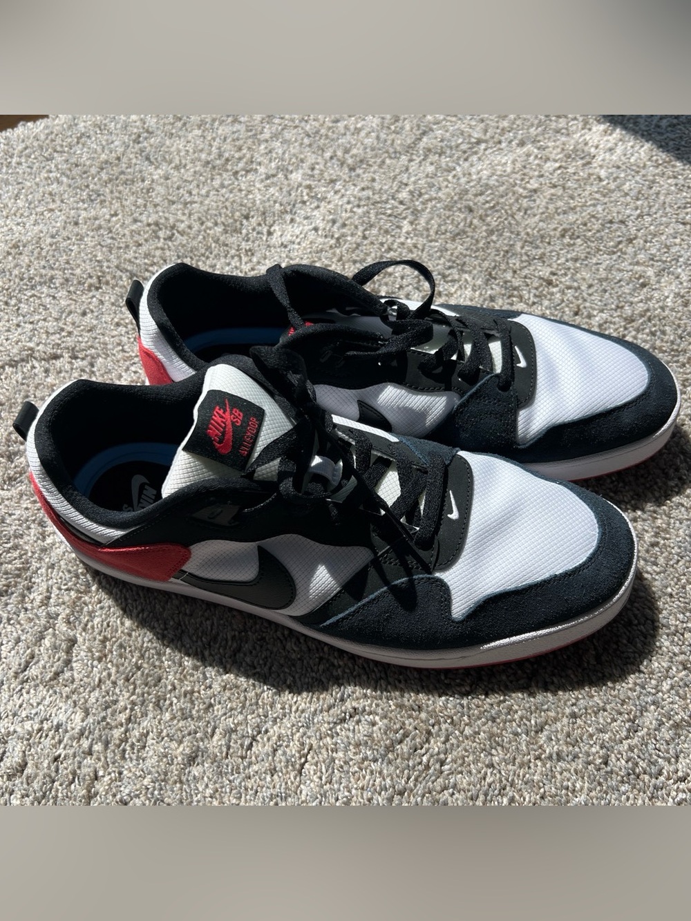 Nike SB Alleyoop